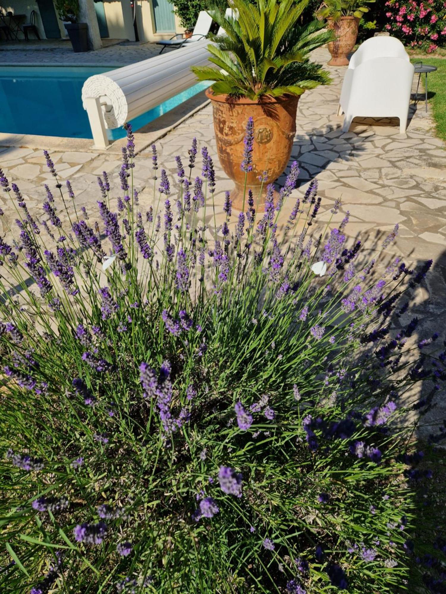 Bed and Breakfast Mas Armelin Tarascon Exteriér fotografie