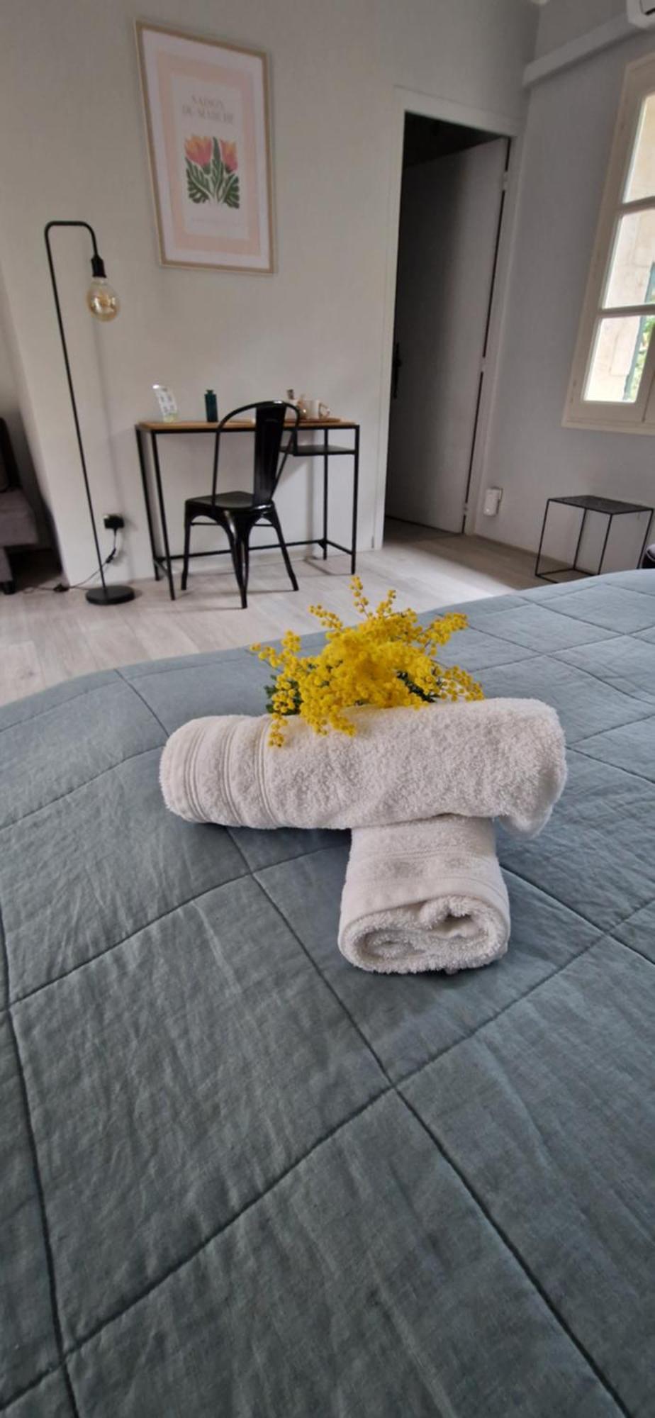 Bed and Breakfast Mas Armelin Tarascon Pokoj fotografie