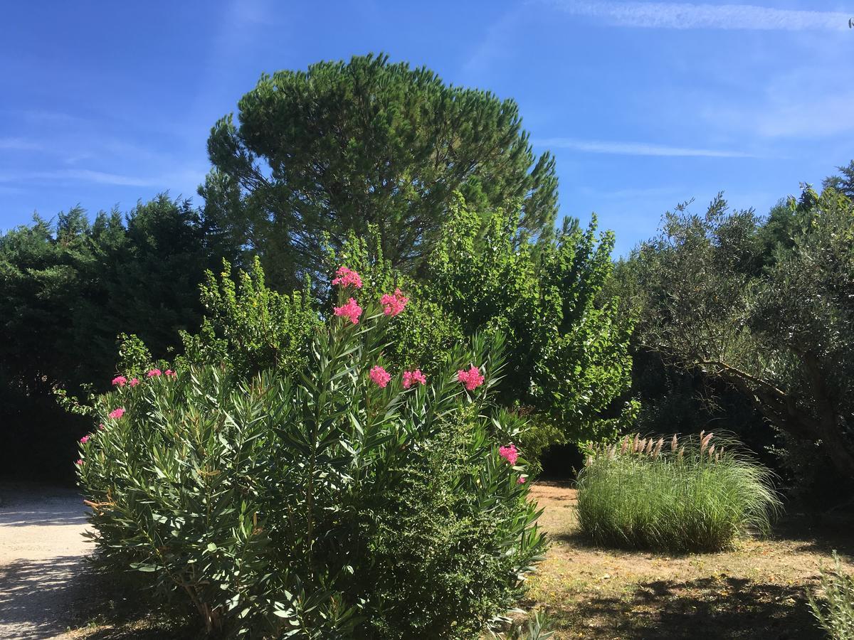Bed and Breakfast Mas Armelin Tarascon Exteriér fotografie